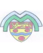 MAIDSTONE MINOR FOOTBALL LEAGUE