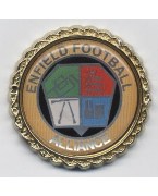 G. A. Roberts Enfield Football Alliance League