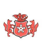 The Leicester Sunday Football League