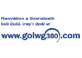 Sponsors
