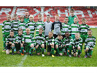 Brickfield U11's